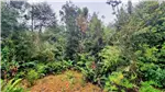  Venta  Parcela en Puerto Varas  UF972,01 $40.000.000 