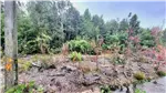  Venta  Parcela en Puerto Varas  UF972,01 $40.000.000 