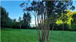  Venta  Parcela en Frutillar  $226.336.000 UF5.500 