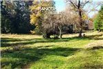  Venta  Parcela en Villarrica  UF1.701,01 $70.000.000 