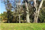  Venta  Parcela en Villarrica  UF1.701,01 $70.000.000 