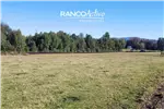  Venta  Parcela en Villarrica  UF2.259,91 $93.000.000 