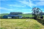  Venta  Parcela en Llanquihue  $41.152.000 UF1.000 