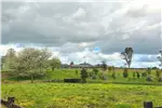  Venta  Parcela en Llanquihue  $41.152.000 UF1.000 