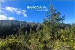 Venta  Parcela en Valdivia  UF2.624,42 $108.000.000 