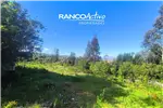  Venta  Parcela en Valdivia  UF2.624,42 $108.000.000 