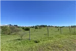  Venta  Parcela en Chillán  UF1.190,71 $49.000.000 