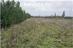  Venta  Parcela en Coihueco  UF899,11 $37.000.000 